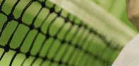 Tennis Net